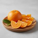 제주하우스 이미지