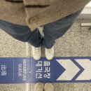 여행(Travel) | 보라카이 5박 6일 여행 – 셀프 입도/출도/e-travel 작성 후기