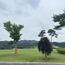 안동레이크골프클럽 | 안동 레이크CC 후기｜그린피 마일리지 이벤트 + 우중골프 리얼후기