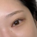 데이 뷰티스튜디오 | 울산속눈썹펌 미닷 뷰티스튜디오 후기