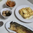 청하한의원 | 일상+경주 대추밭백한의원 텐트런 후기(11.10~11.16)