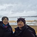 제주뇌병변장애인인권협회 | 뒤늦은 기록을 하려는 이유