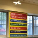 콩숙이꼬마김밥본점 | 오래된 노포집 부산대분식 진경순 부대꼬마김밥 부산대본점 후기