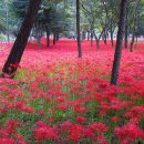 영광상사 이미지