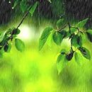 혜윰한의원 이미지