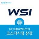 (주)더블유에스아이 이미지