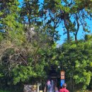 대왕암공원타워주차장화장실 이미지