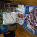 백세건강원 이미지