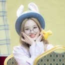 비채원 이미지