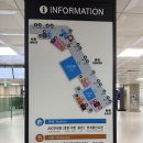 세븐일레븐 제주KAL중앙점 | 제주공항 롯데리아 위치, 메뉴, 가격, 국내선 2층 식당 정보