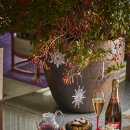 애프터눈 이미지