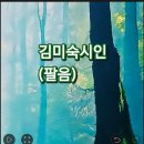 김미숙시인(팔음) 이미지