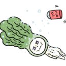 파드러슈 이미지