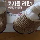 코지Ⅰ 네이버블로그