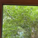 서초대로33길 84-24 이미지