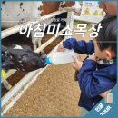 세기목장 | 제주 아침미소목장 입장료 카페 후기