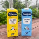 사르데냐 오토캠핑장 이미지