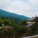 경희대석사청학태권도 이미지