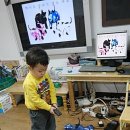 상상개나리 이미지