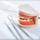 세움치과의원 이미지