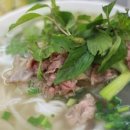 사랑베트남쌀국수 티스토리