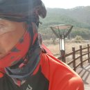 성안장수원 Daum카페