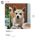 은달래강릉점 | 추석 한번만 더 주세요...