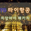 인하항공여행사