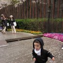 주성이네 옷 이미지