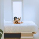 호텔핀코 이미지