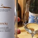 스시카메 이미지