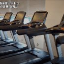 레이블YG센터&헬스;일산PT;스쿼시;골프;스피닝GX요가 | 경기도 고양시 헬스장 레이블짐&헬스,PT,GX,스크린골프,스쿼시 내용가격운영시간주차리뷰 알아보기