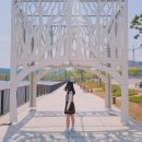 대일관광고등학교 이미지