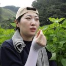 청양이맘때