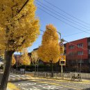 대전광역시서구 유등노인복지관 | [대전 평일반] 글쓰기 수업 - 모집 중