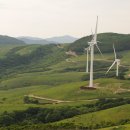 동양목초 이미지