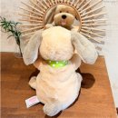 퍼피멜로디 이미지