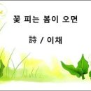 꽃피는봄이오면카페 이미지