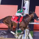 (주)골든리버 이미지