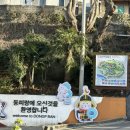 통영 가볼만한곳 동피랑 벽화마을 먹거리 맛집 여행 코스 추천