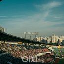 종합운동장 주경기장 9 이미지