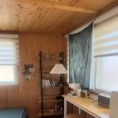 월오포레스트 이미지