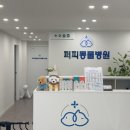 퍼피엔젤 반려동물 미용실 이미지