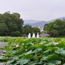 연화지보리밥식당 이미지