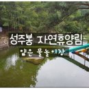자연휴양림 얕은 물놀이장 이미지
