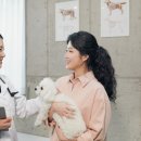 성원동물병원 이미지