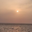 신안 증도 숙소 엘도라도리조트 26평A 숙박 후기
