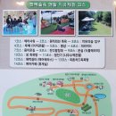 법인조금느려도괜찮아치유농장 | 피톤치드 가득한 나폴리 농원을 아시나요?