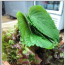 대덕막창 이미지