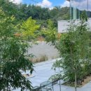 구월이십일 이미지